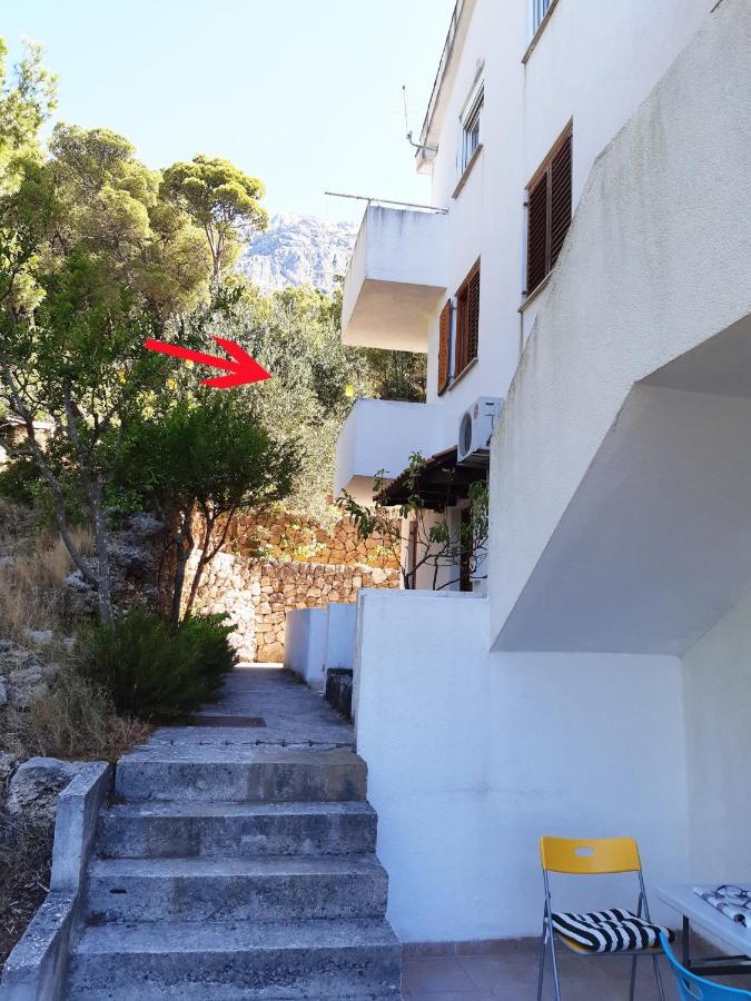 Peace And Quiet Apartment In Brela, Croatia المظهر الخارجي الصورة